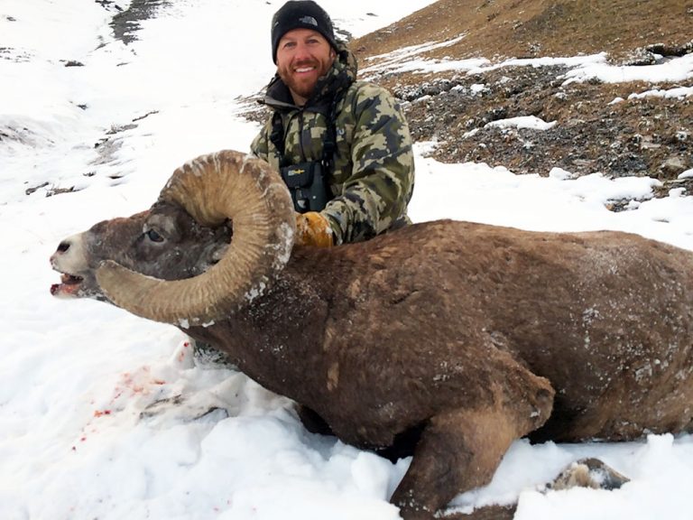 Timberline-Guiding-Bighorn-Sheep-Hunting10