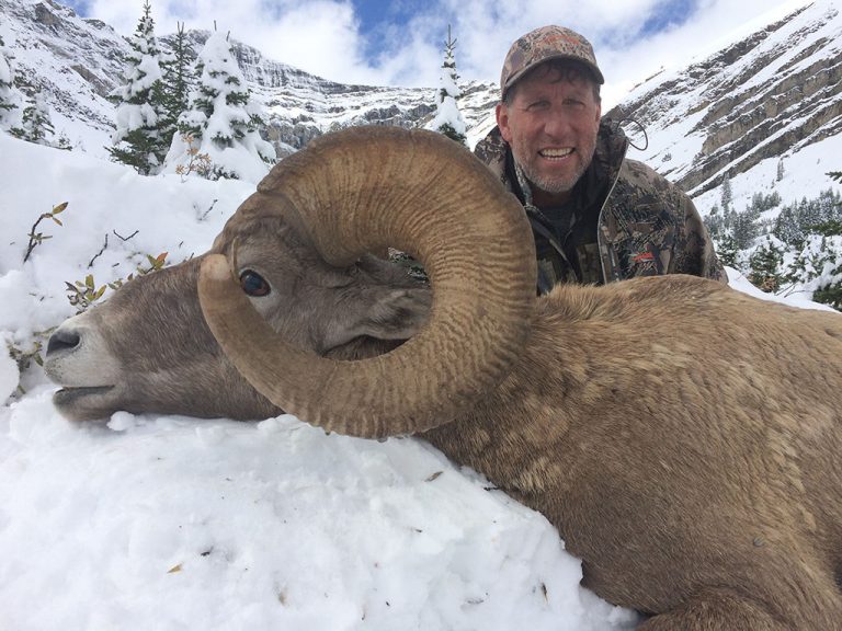 Timberline-Guiding-Bighorn-Sheep-Hunting11