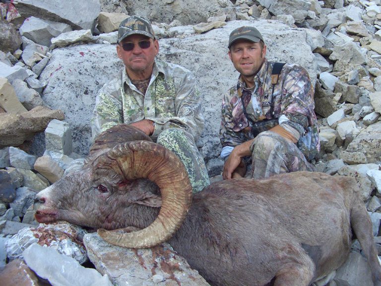 Timberline-Guiding-Bighorn-Sheep-Hunting21