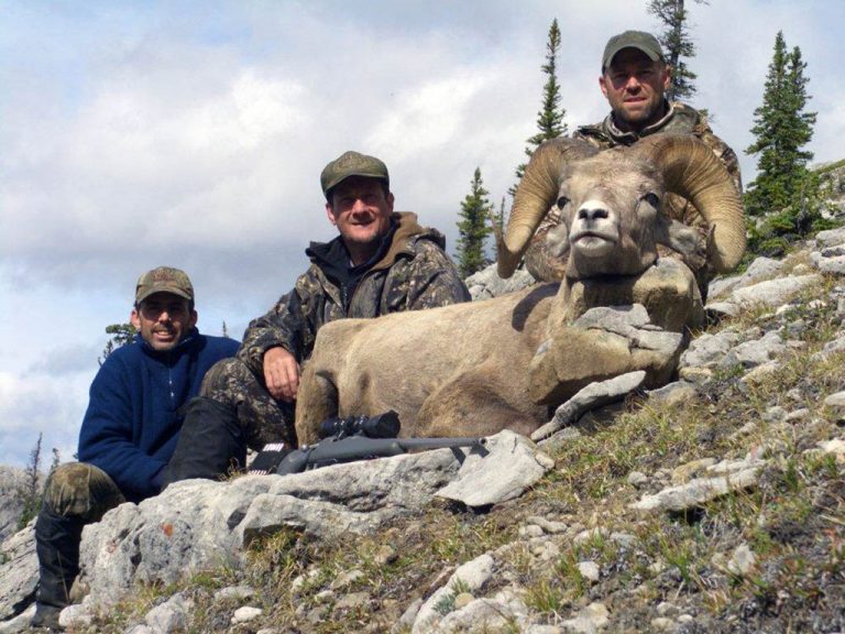 Timberline-Guiding-Bighorn-Sheep-Hunting24