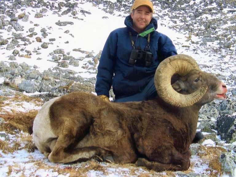 Timberline-Guiding-Bighorn-Sheep-Hunting26