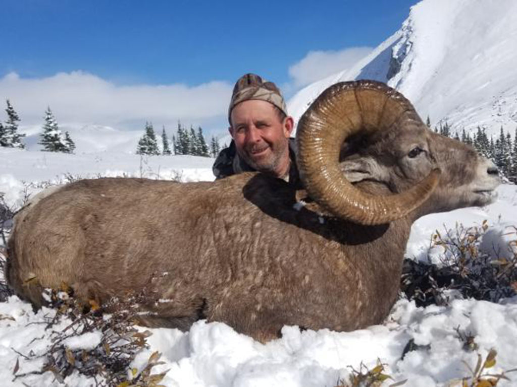 Timberline-Guiding-Bighorn-Sheep-Hunting9
