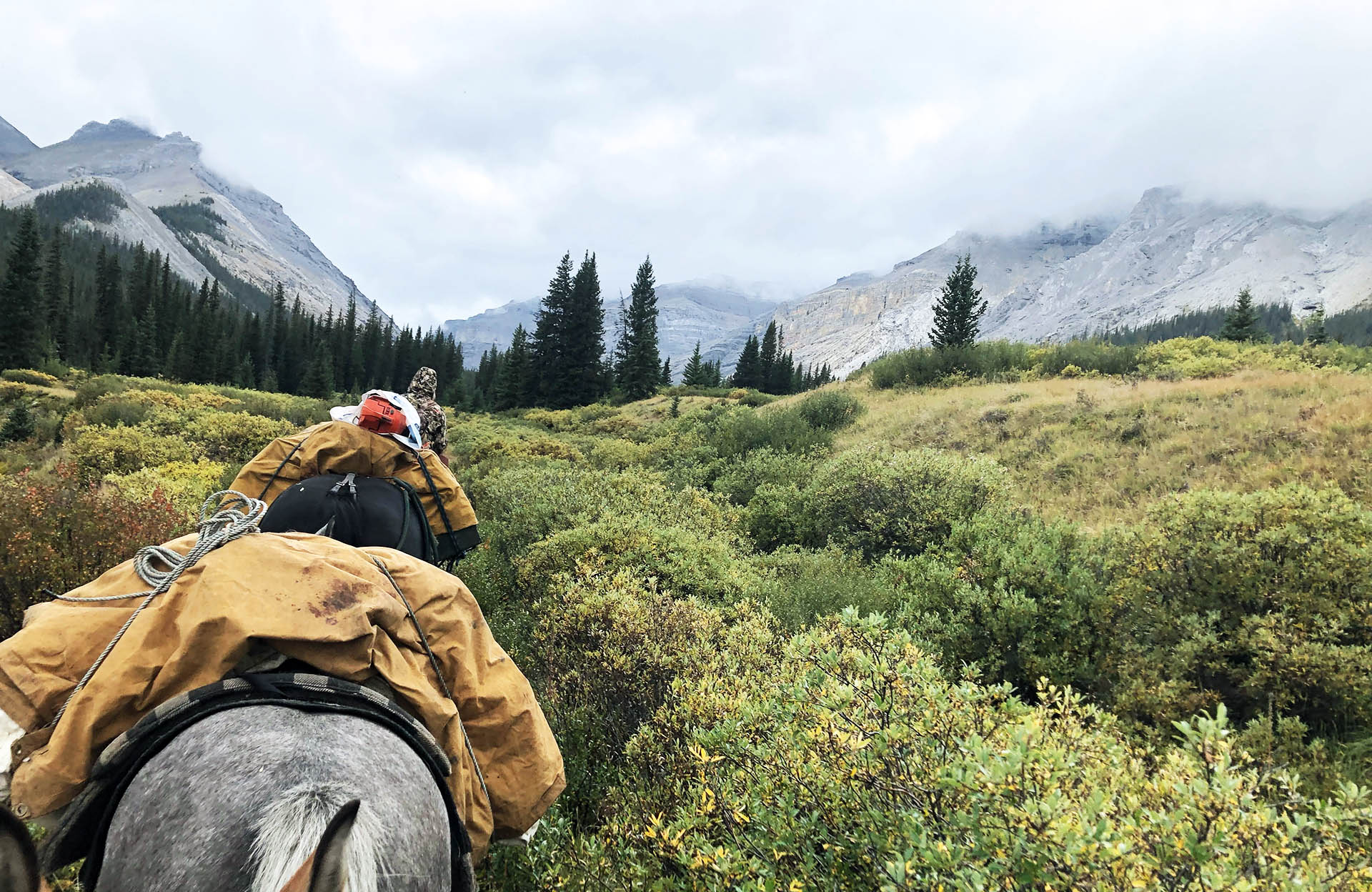 Timberline Guiding Canada Hunting Outfitters