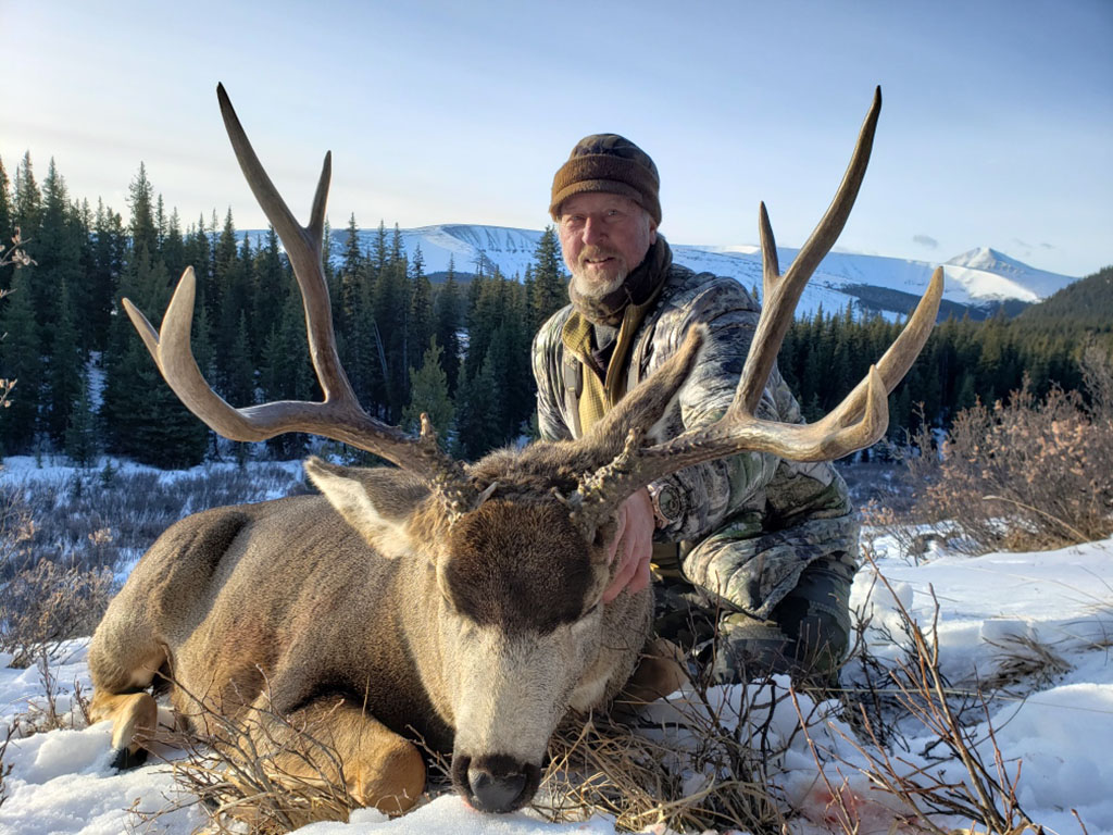 mule deer canadian