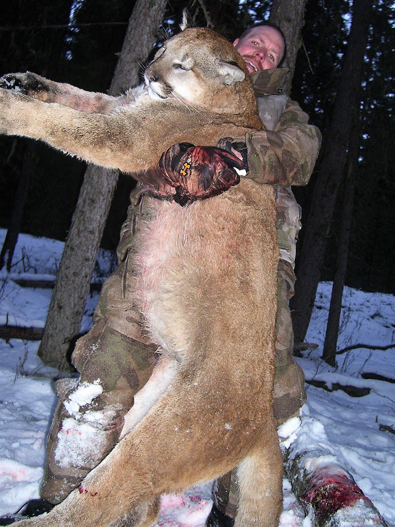 Cougar Hunting Alberta Canada