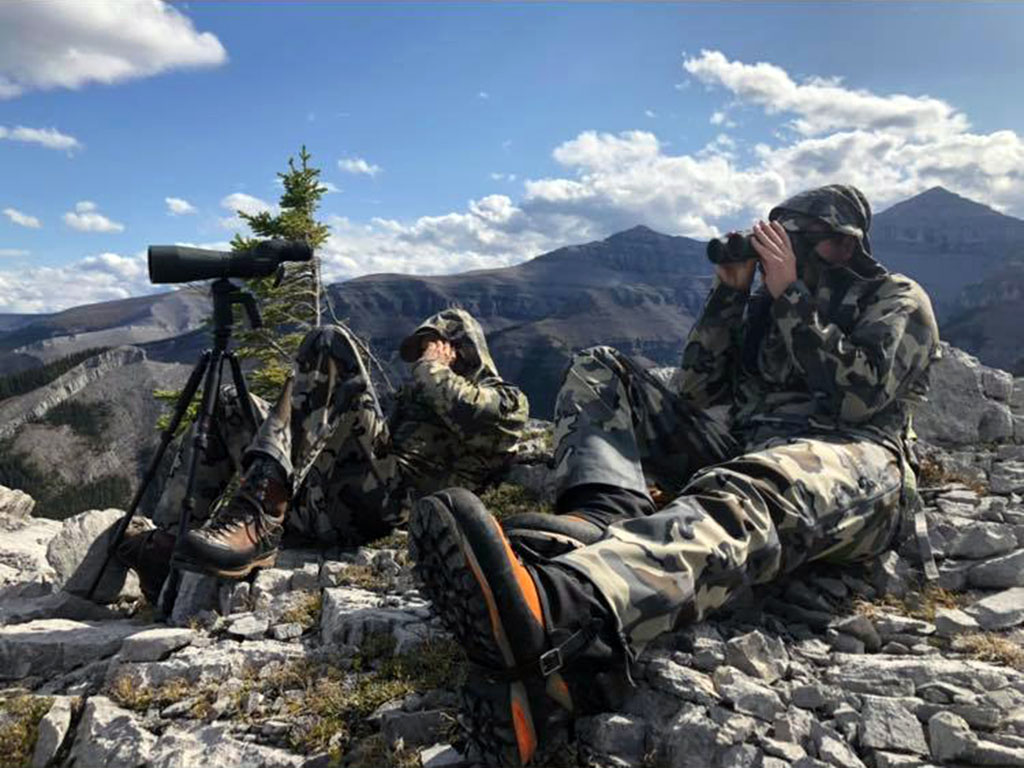 bighorn sheep hunts timberline guiding