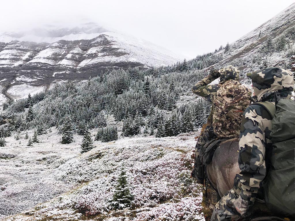 Mule Deer Hunting Outfitters Alberta Canada