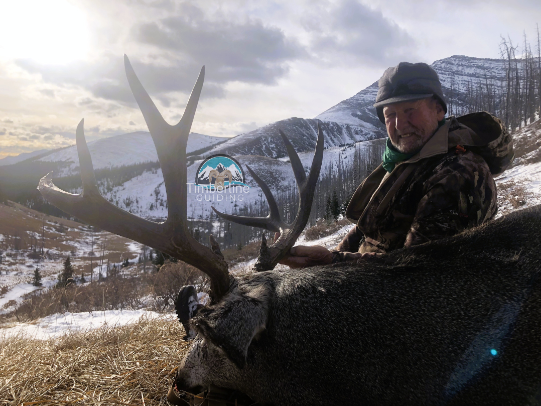 Timberline Guiding Photos 1