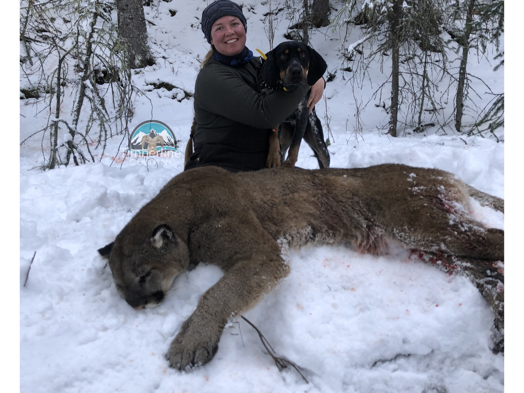 Timberline Guiding Photos