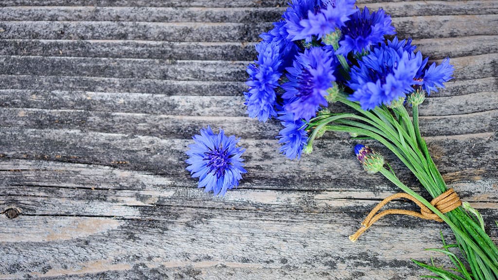 flowers wood banner 1