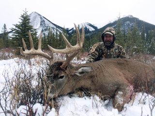 whitetail deer hunting alberta canada